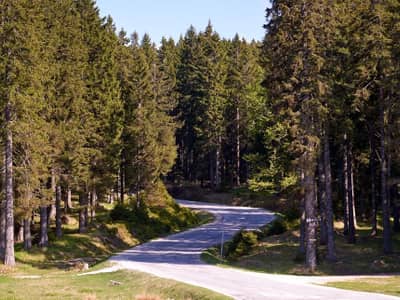 Turističko naselje Bungalovi Rogla * * *