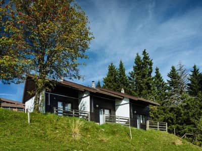 Turističko naselje Bungalovi Rogla * * *