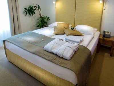 Hotel Zdraviliški Dvor