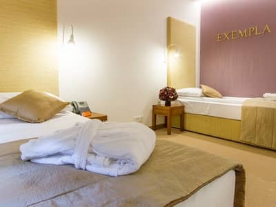 Hotel Zdraviliški Dvor