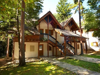 Turističko naselje Vile Terme Zreče * * * *